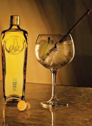 Voor zestig euro krijgt u Vision twee jaar lang elk kwartaal (acht nummers dus) thuisgestuurd én krijgt u een fles CATZ® Dry Gin cadeau! (in fraaie geschenkverpakking mét glas).